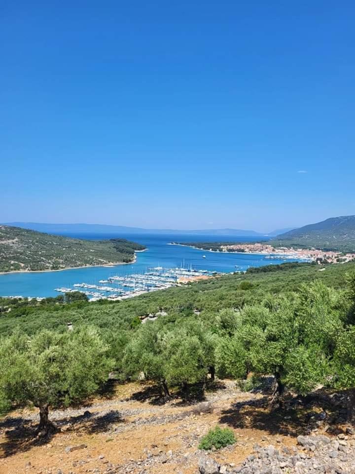 Apartments Mara Cres Εξωτερικό φωτογραφία